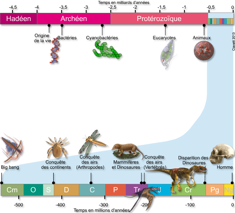 Frise Chronologique L Histoire De La Terre Frise Chronologique Histoire De La Vie Sur Terre - Nouvelles Histoire