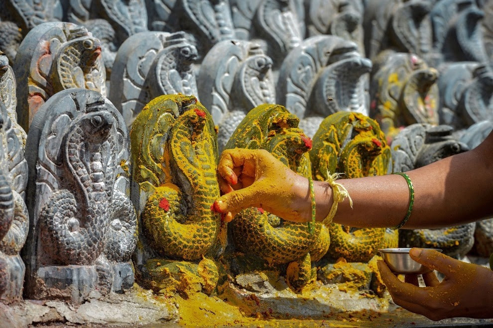 Змеиный фестиваль Nag Panchami 2017 Змеиный фестиваль Nag Panchami 2017
