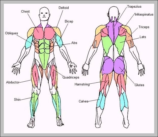 My Image 4