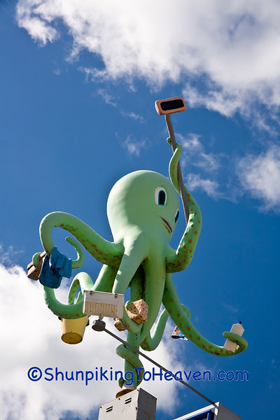 Ozzie the Octopus at E Washington Ave Octopus Car Wash, Madison, Wisconsin
