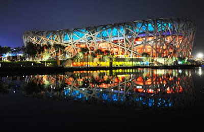 Bird's Nest