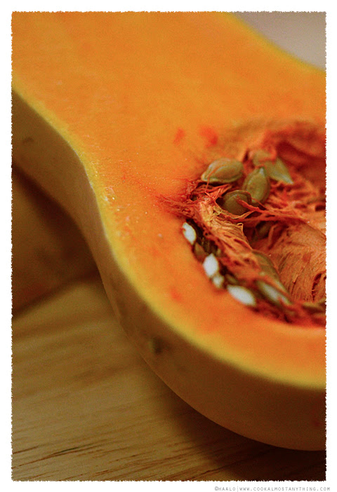 butternut pumpkin© by haalo