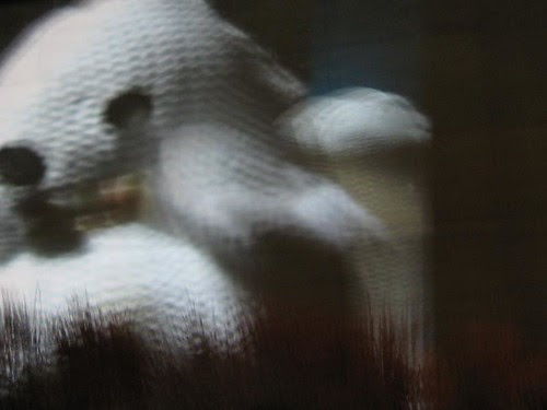 Walther Knitty