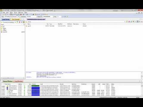 Cuteftp pro