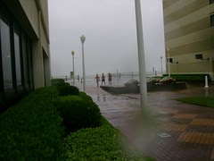 Crazy Boys From Ocean