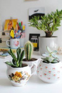 diy tea cup planters, burkatron, craft, uk, blogger