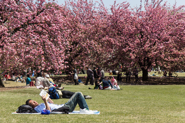 Shinjuku Gyoen in April