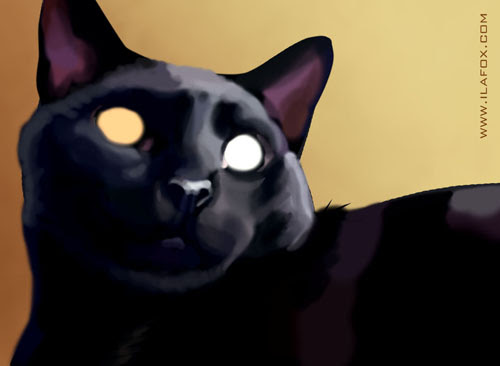 gato Vinil ilustração realista tutorial by ila fox