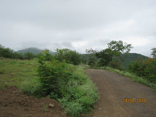 Bungalow Plots at Jambhulwadi & Mangadewadi, Katraj PuneIMG_2476