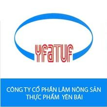 Rau củ sạch Yên Bái