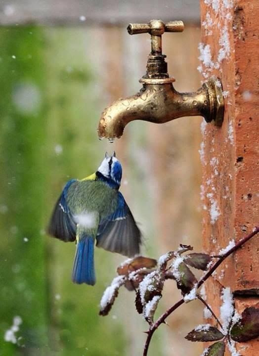 Be thirsty Heart Seek forever without rest . ~ Rumi