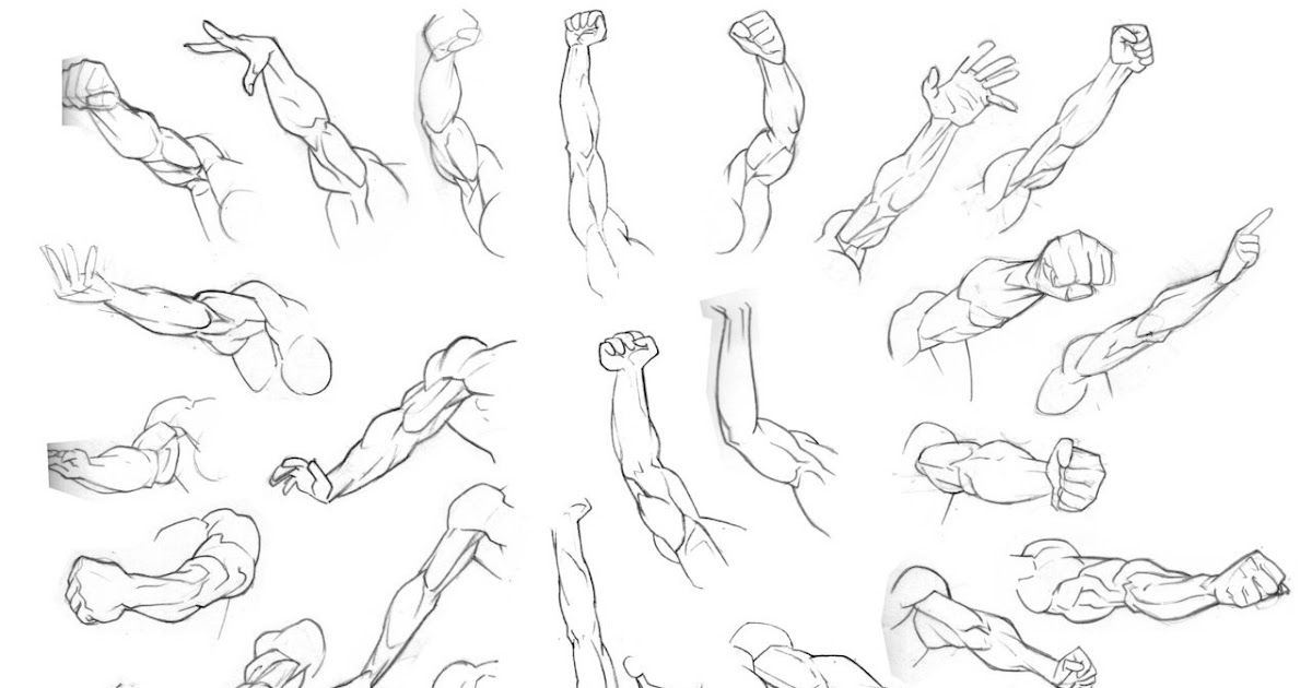 Male Arm Reference Drawing - Dacordestamesa Wallpaper