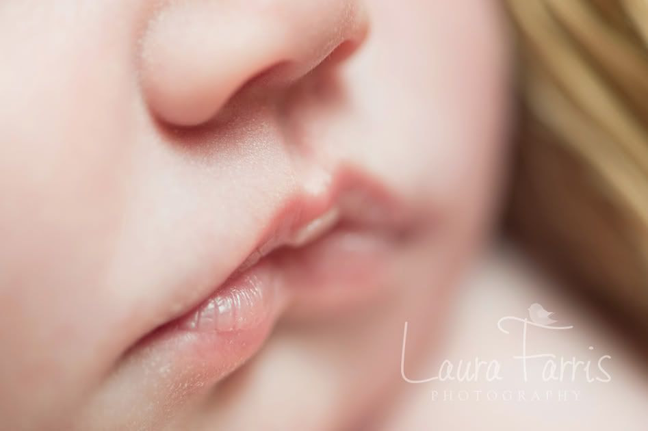 idaho newborn photographer
