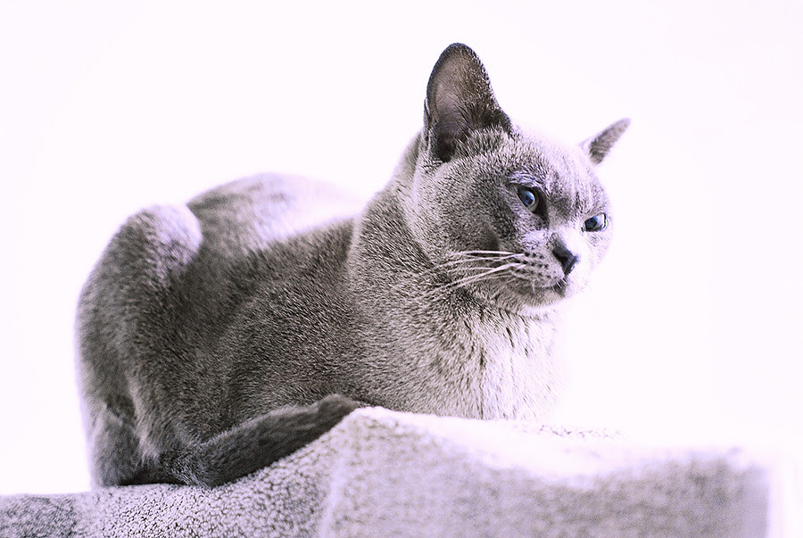 DSC_1034