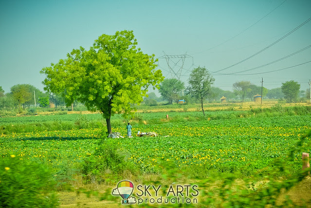 Senheng India Trip to Taj Mahal 2013 | TianChad.com