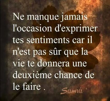 Belle Citation Damour Impossible Best Citations D Amour