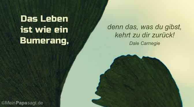 Zitate Das Leben Ist Wie Ein Buch