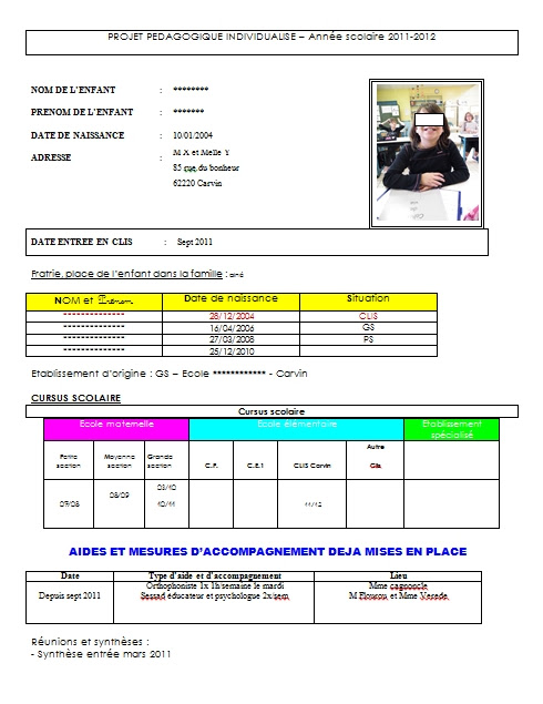 Exemple De Projet Individualisé D Accompagnement  Le Meilleur Exemple