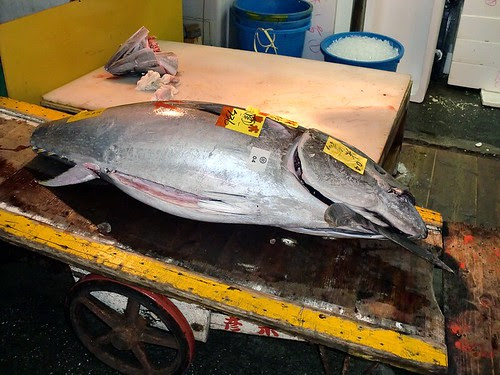 Tsukiji Ichiba: Tuna