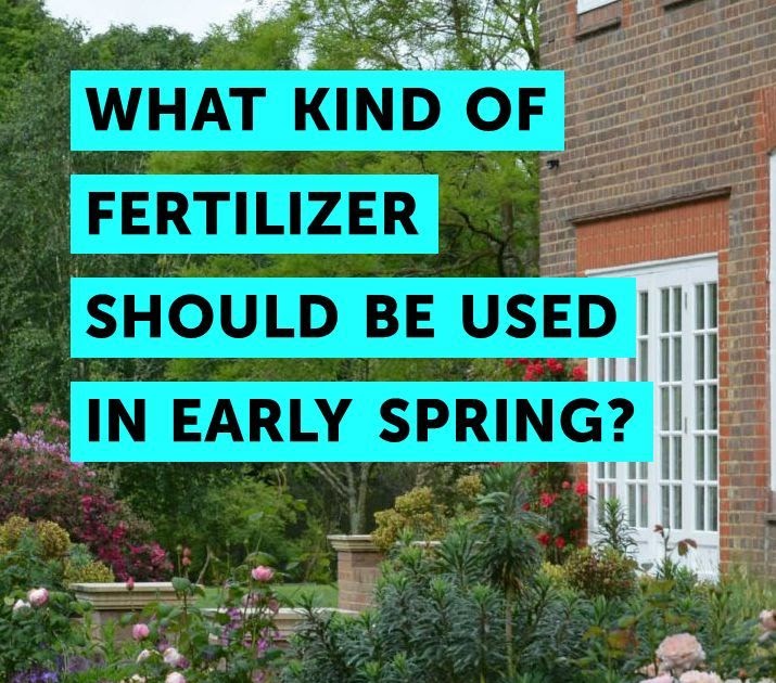 Early Spring Fertilizer - Plants BX