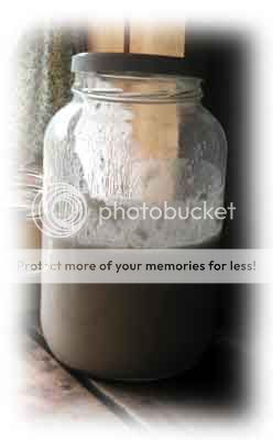 Sourdough Jar