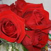Pretty roses in our stateroom