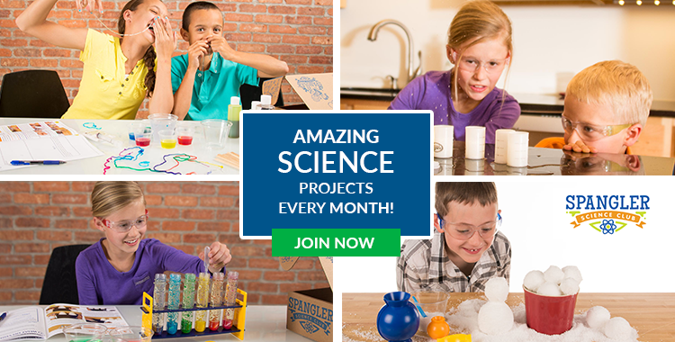 Amazing Science Projects Every Month