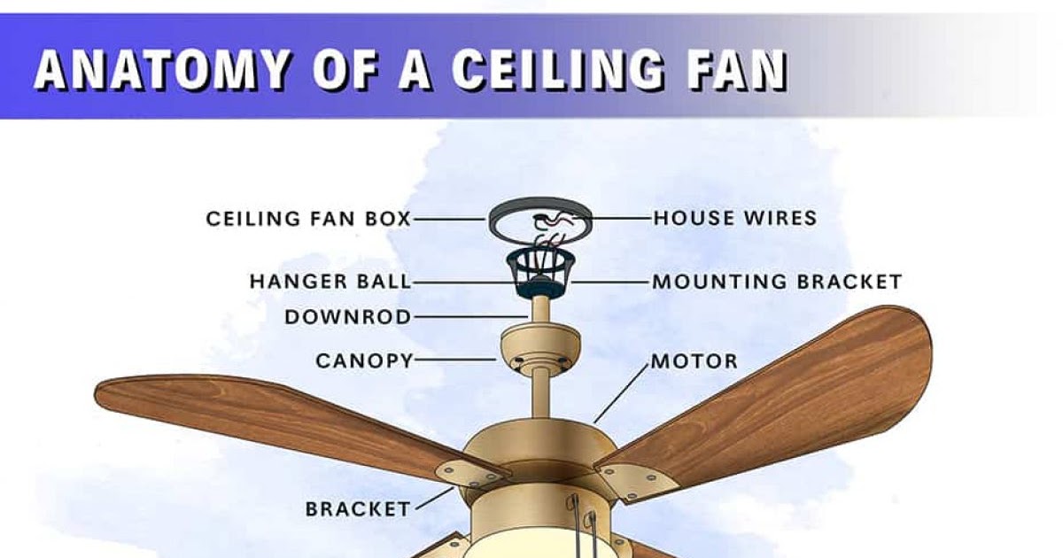 Electrical Wiring Diagram Ceiling Fan : Ceiling Fan Wiring Diagram Two