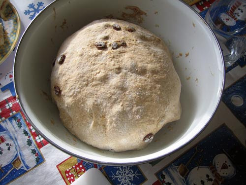 bowl of folded dough