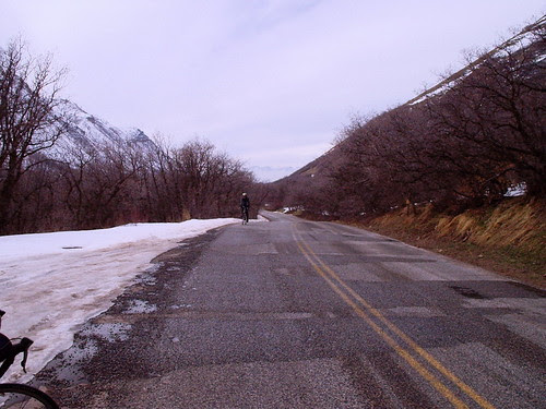 Hobble Creek