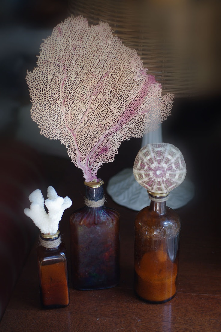 Amber Bottles with Sea Life - Sea Fan, Coral and Sea Urchin ~ I could make these!