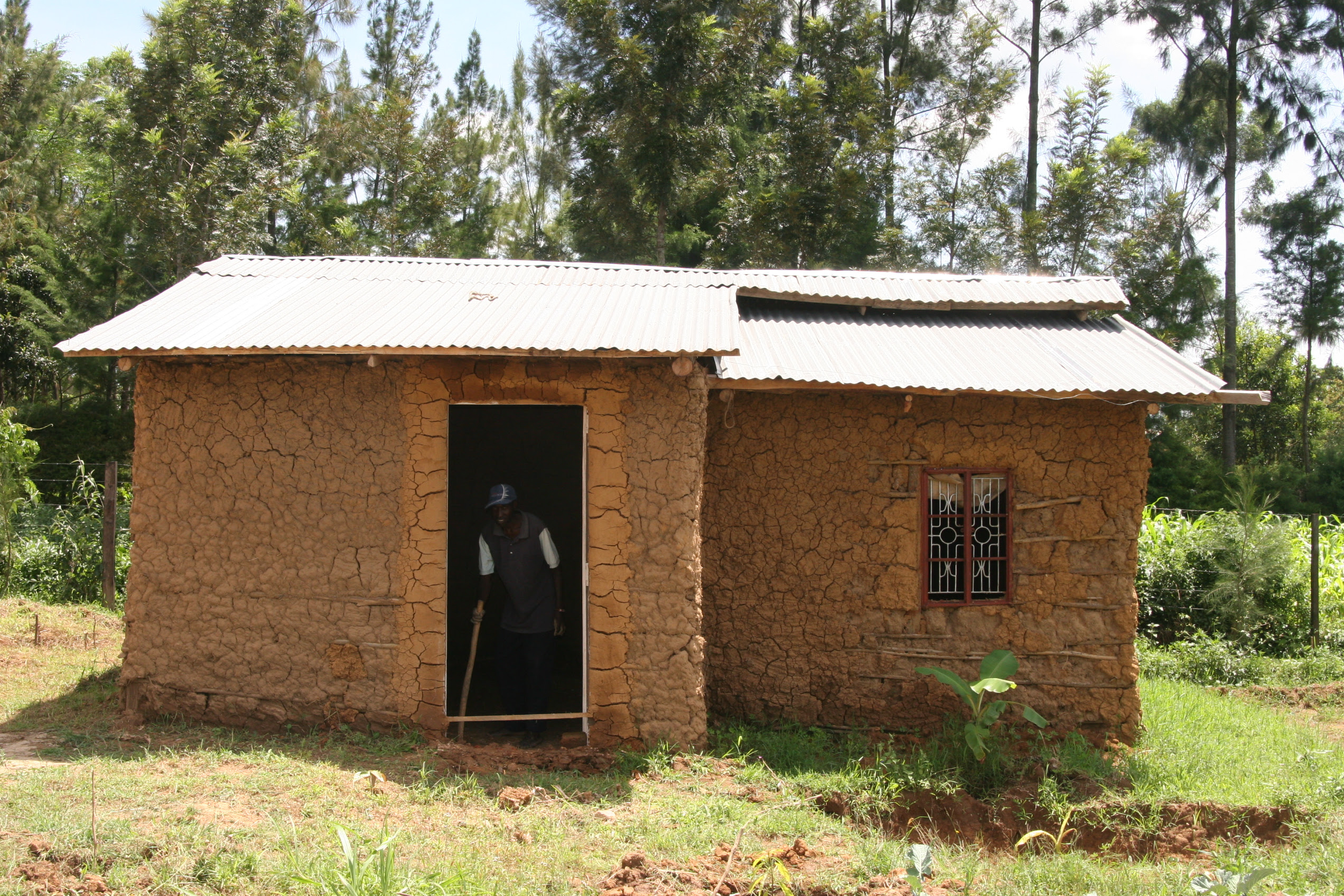 cow shed construction in kenya ~ g-shed