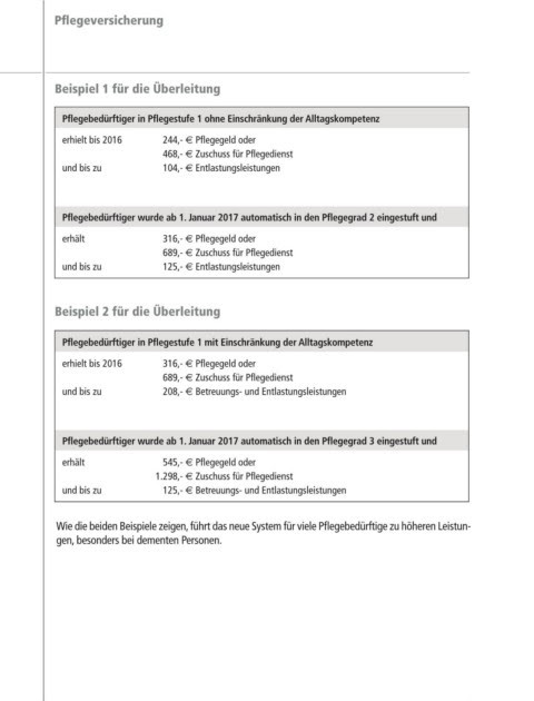 Pflegegeldberechnung Beispiele : Pflegetagebuch Fuhren Muster Vordruck Beispiel 2019 Pflege De