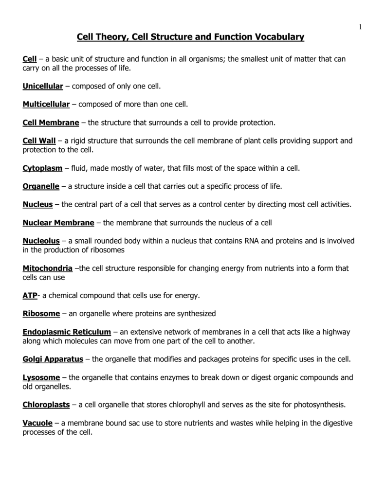 29 Cell Theory Worksheet Answer Key - Worksheet Resource Plans