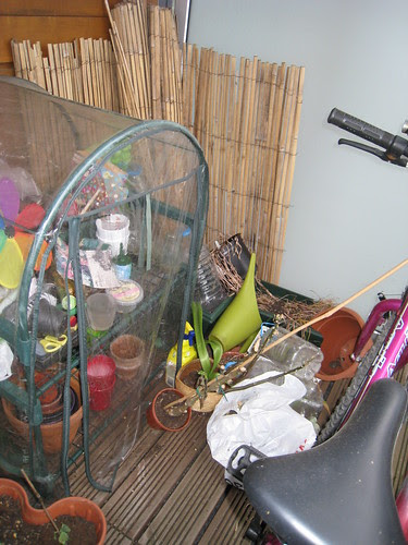 Tidy all the things!