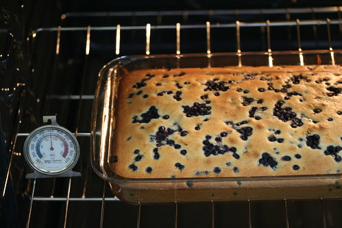 Food Librarian - Blueberry Mochi Cake