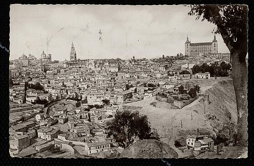 Toledo junto a un gran almez (Celtis australis)