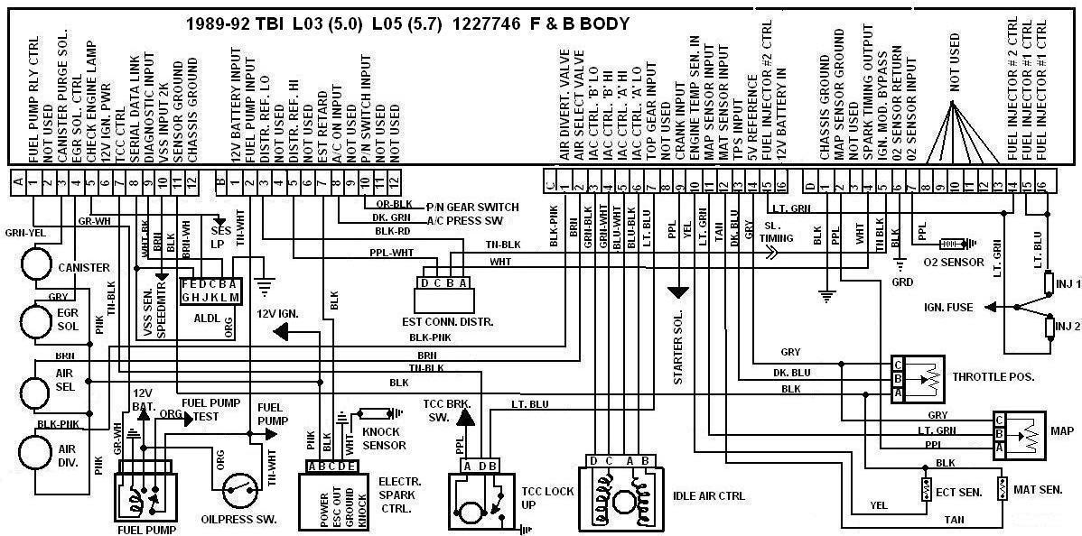 3176 Caterpillar Engine Wiring Harnes - Wiring Diagram Networks
