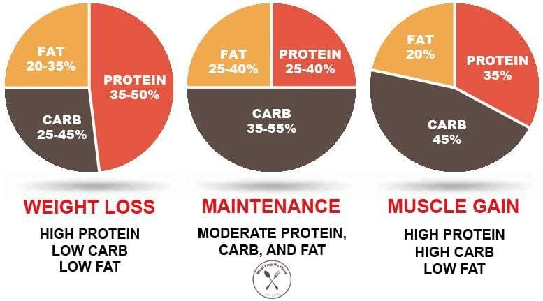 Carbohydrate Sources