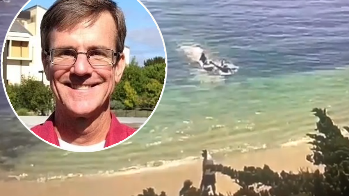 'I could see bone': Shark victim's rescuer speaks after grisly attack