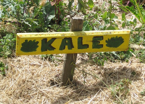 Kale sign in the Edible Schoolyard by Eve Fox, Garden of Eating blog