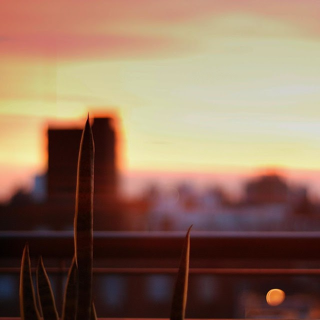 The End of the Day