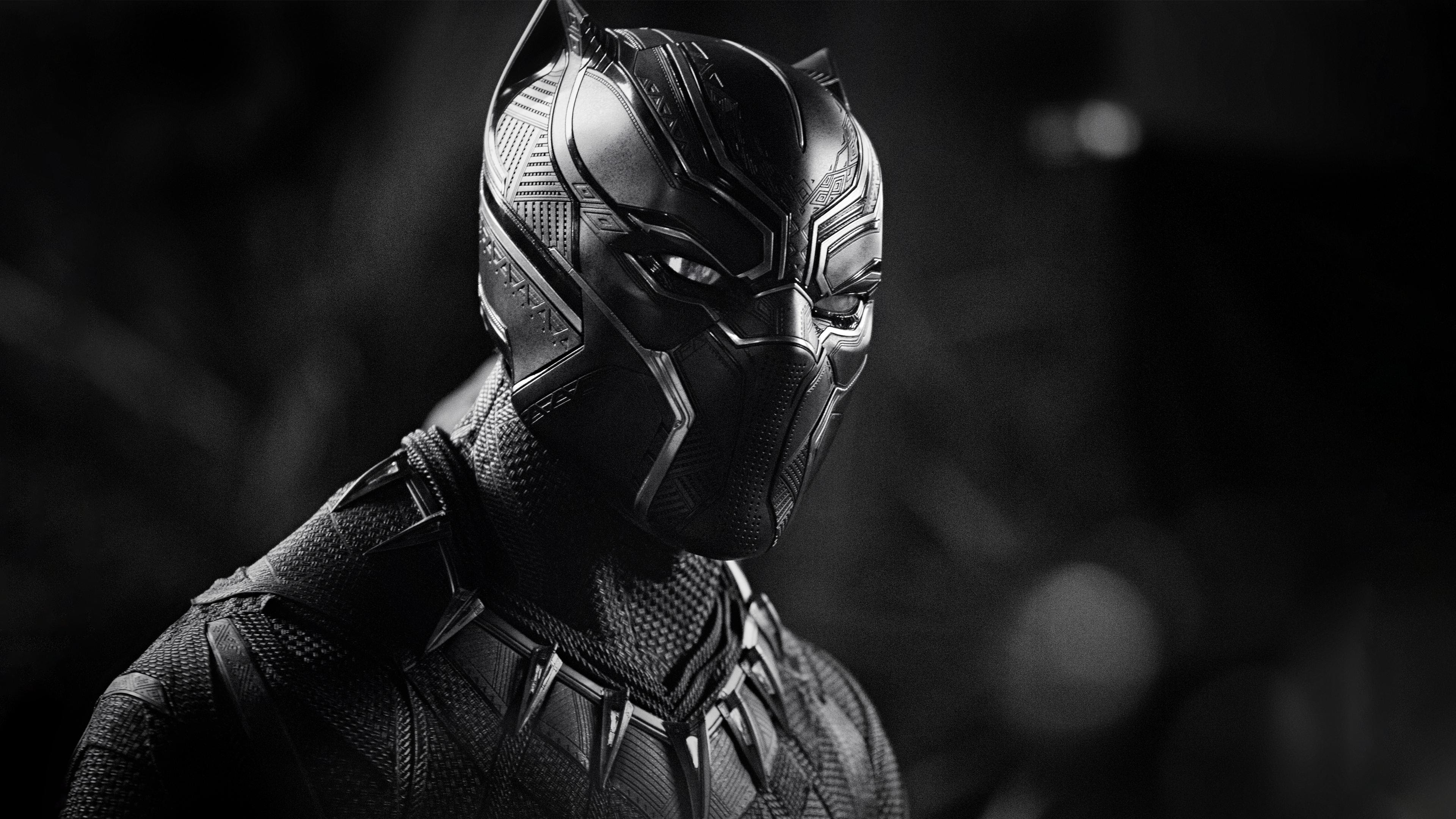 Wallpaper Hd Black Panther Desktop Wallpaper 4k