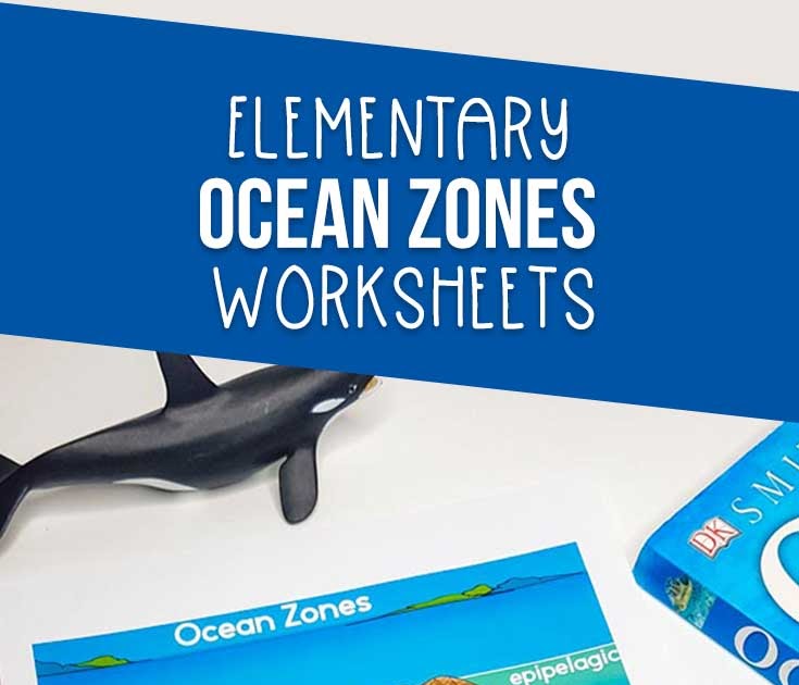 Ocean Zones Worksheet For Kindergarten - Kristins Traum