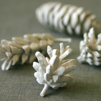 pinecone4