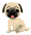 perro-imagen-animada-0168