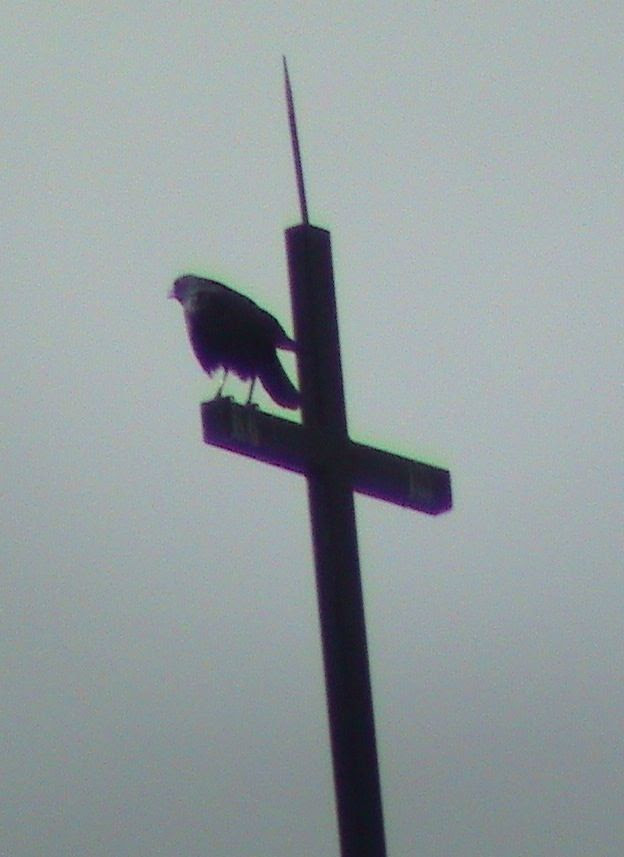 photo DSC00397.jpg