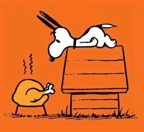 thanksgiving snoopy pictures   images