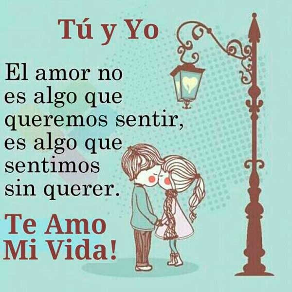 Frases Bonitas Para Decir Te Amo Hallowex