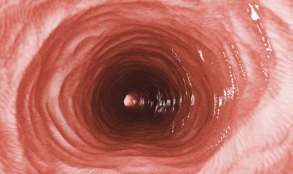 Heartburn On Empty Stomach Gastric reflux at night